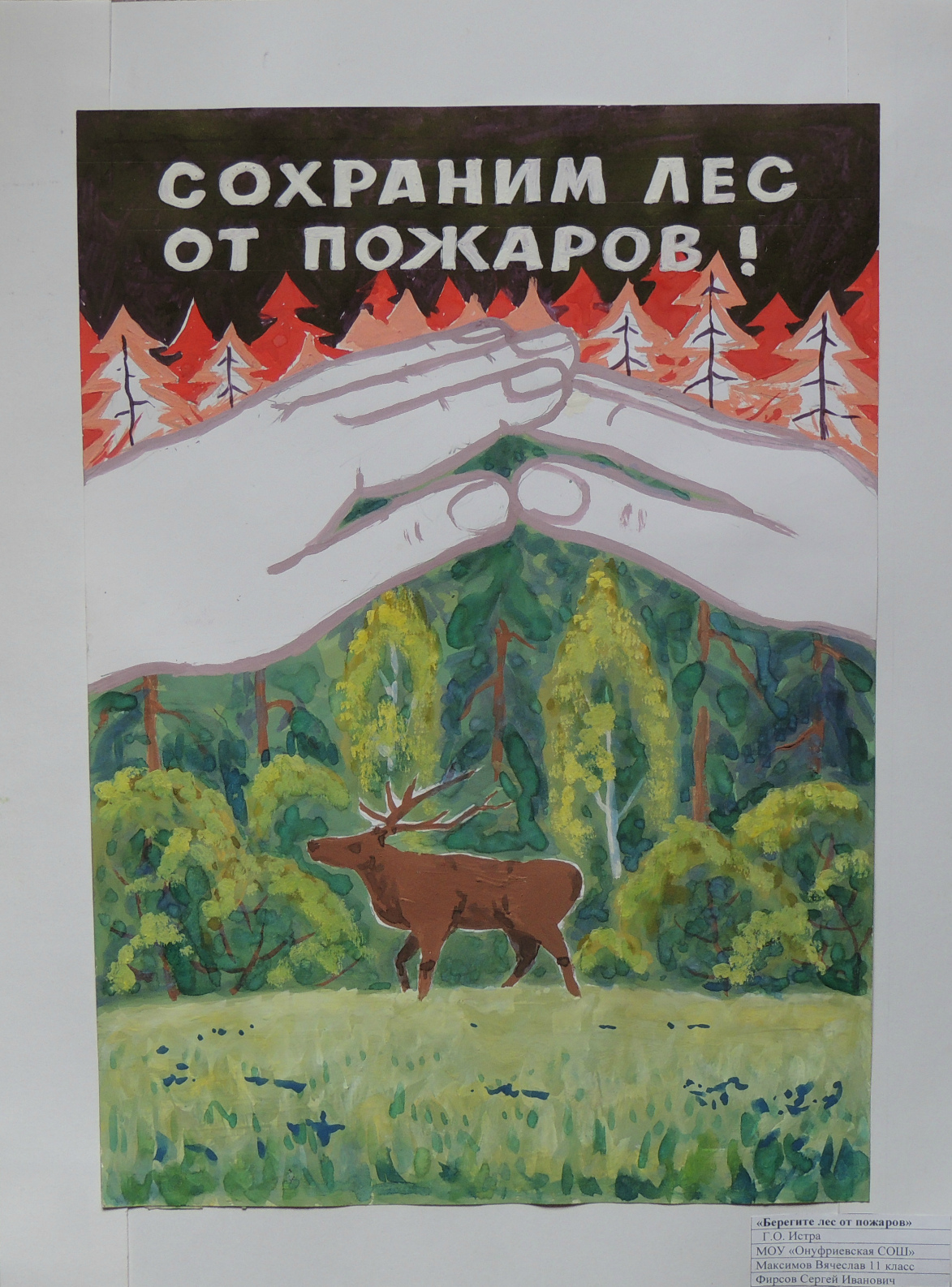 Рисунок на тему охрана лесов